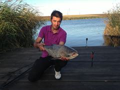 Lazar